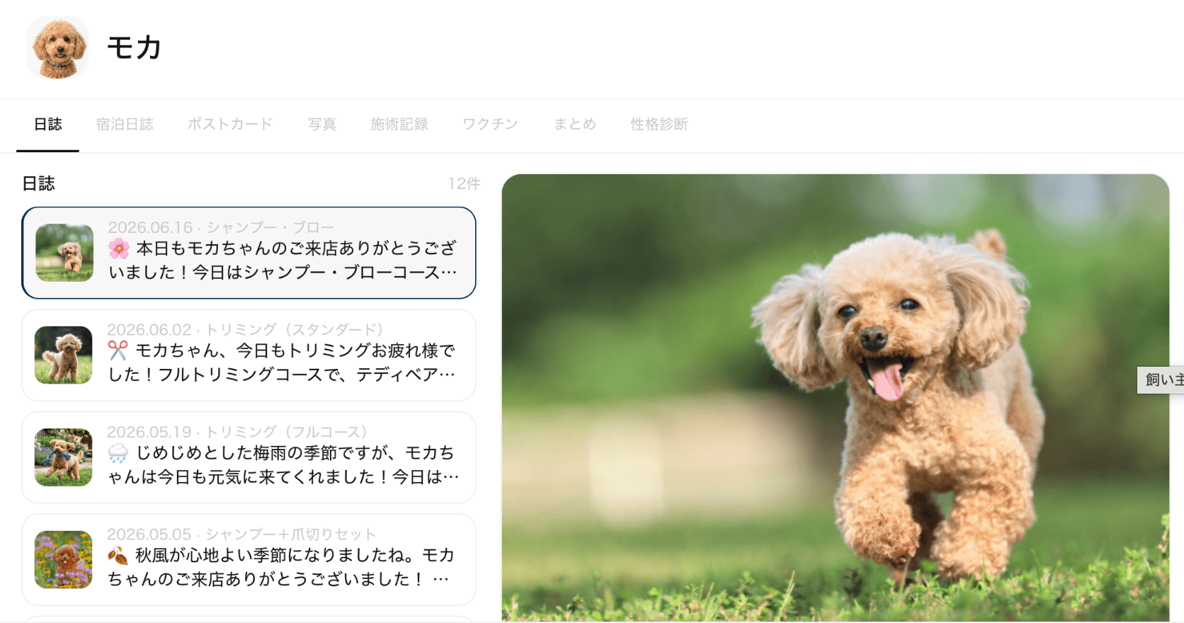 施術日誌・カルテの画面